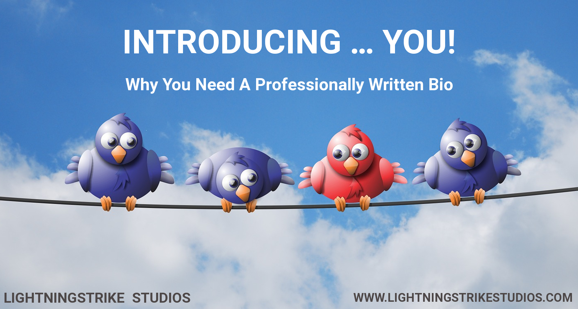 Introducing ... You! - Why You Need A Professionally Written Bio