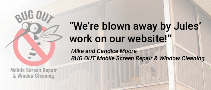 BUG OUT Mobile Screen Repair & Window Cleaning